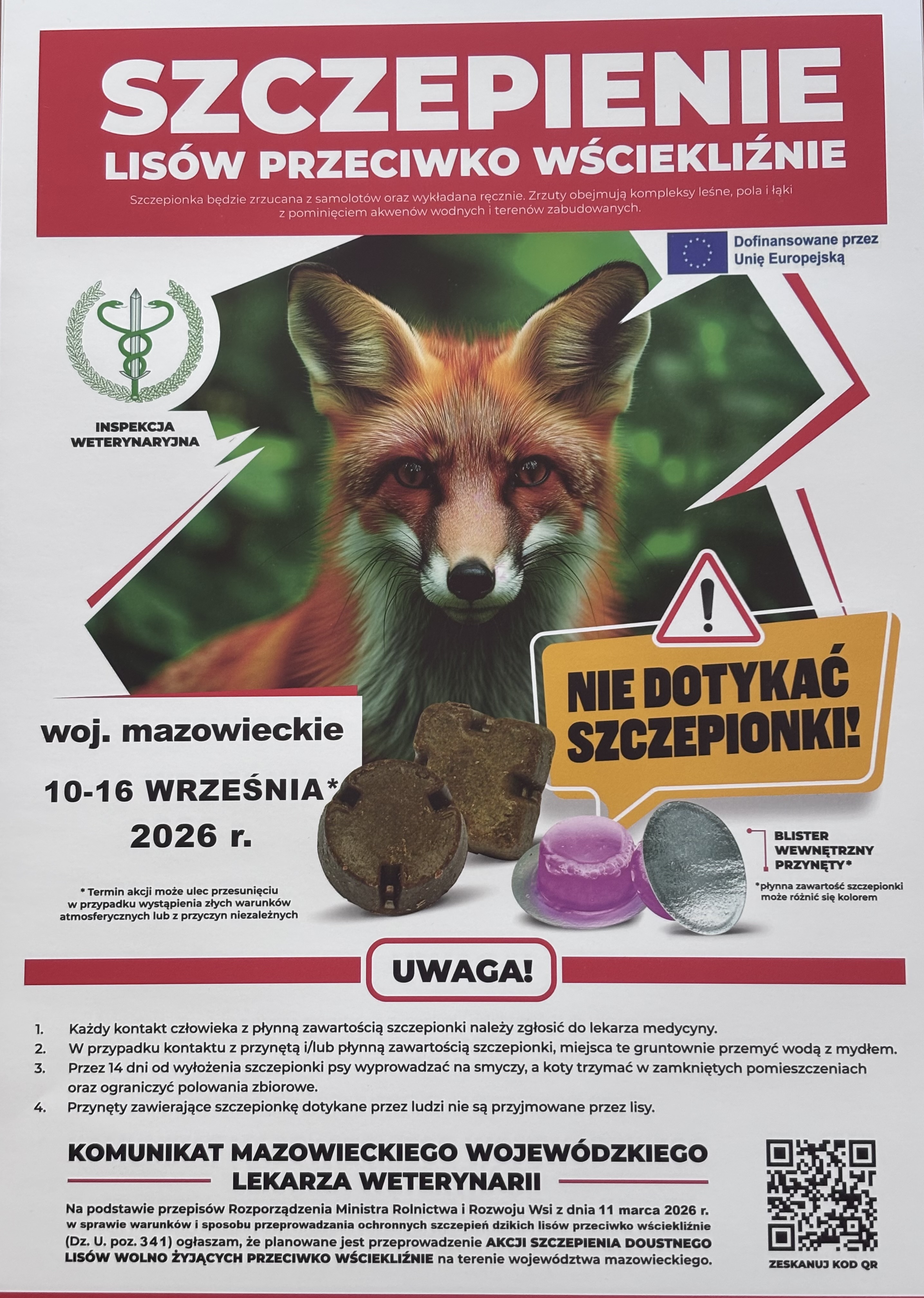 Szczepienie lis&oacute;w
